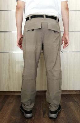 Alpinist Lizard Erkek Outdoor Pantolon Sand - 3