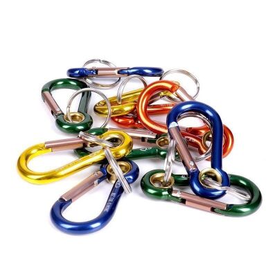 Climbing Technology Anahtarlık Karışık Renkli - 2