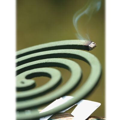 Coghlans Sivrisinek Kovucu Spiral - 2