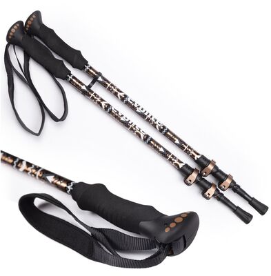 Evolite Golden Trekking Poles Yürüyüş Batonu