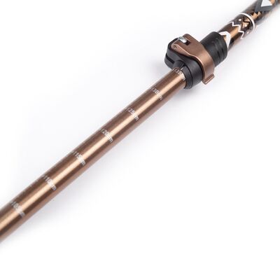 Evolite Golden Trekking Poles Yürüyüş Batonu - 3