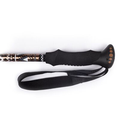Evolite Golden Trekking Poles Yürüyüş Batonu - 4