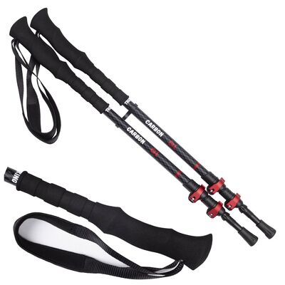 Evolite Carbon Quick Lock Trekking Poles Karbon Yürüyüş Batonu - 1