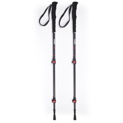 Evolite Carbon Quick Lock Trekking Poles Karbon Yürüyüş Batonu - 2
