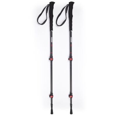 Evolite Carbon Quick Lock Trekking Poles Karbon Yürüyüş Batonu - 2