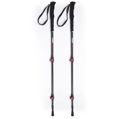 Evolite Carbon Quick Lock Trekking Poles Karbon Yürüyüş Batonu