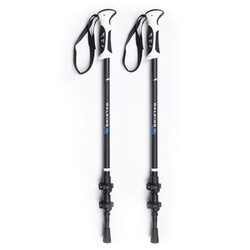 Evolite Walking Trekking Poles Yürüyüş Batonu - 2