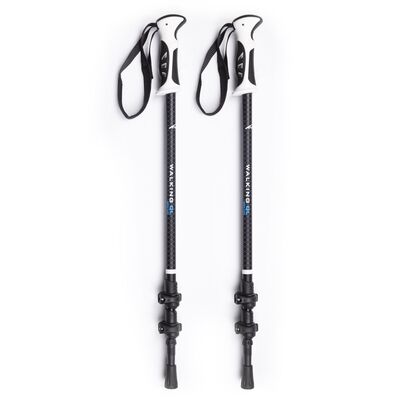 Evolite Walking Trekking Poles Yürüyüş Batonu - 2