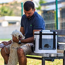 Igloo ColdPack Bez Buzluk 16 Lt - 7