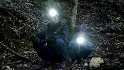 Led Lenser Mh4 Kafa Feneri Black&Sand - 8