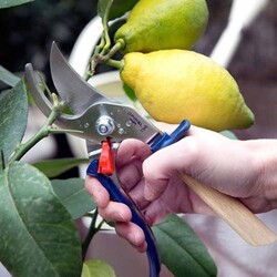 Opinel Kayın Saplı Budama Makası (Mavi) - 5
