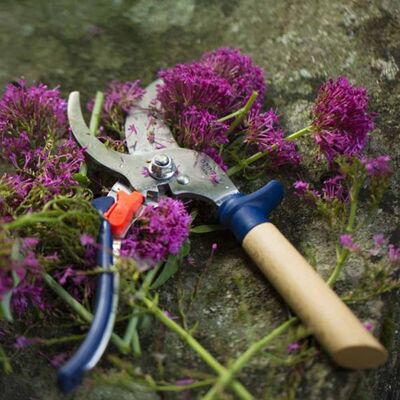 Opinel Kayın Saplı Budama Makası (Mavi) - 7