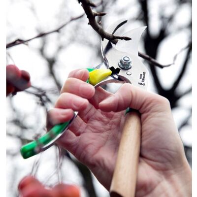 Opinel Kayın Saplı Budama Makası (Yeşil) - 5