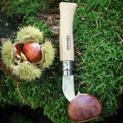 Opinel No 7 Sarımsak Meyve ve Kestane Bıçağı - 6