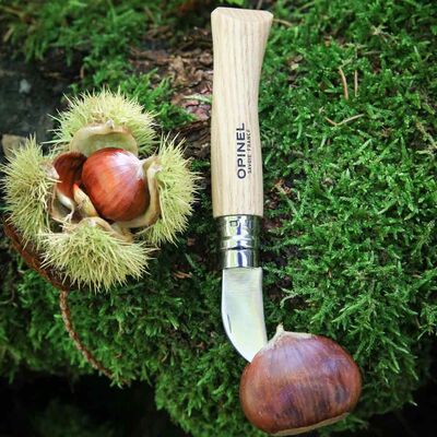 Opinel No 7 Sarımsak Meyve ve Kestane Bıçağı - 6