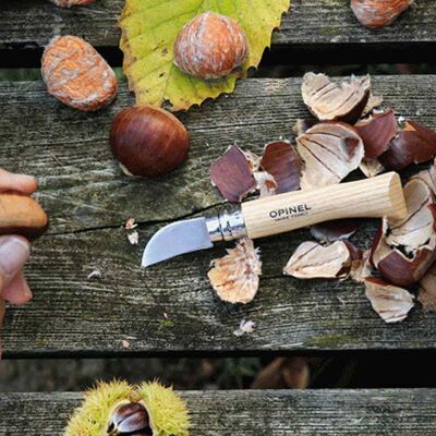 Opinel No 7 Sarımsak Meyve ve Kestane Bıçağı - 7