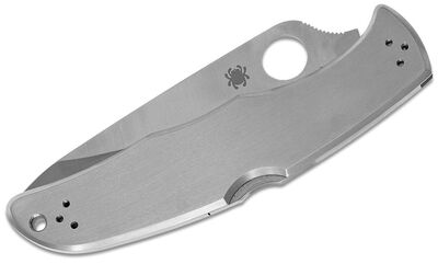 Spyderco C10P Endura SS Çakı - 2
