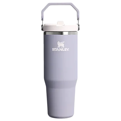 Stanley The IceFlow Flip Straw Tumbler Pipetli Termos Bardak 0,89 Lt Purple Dust - 1