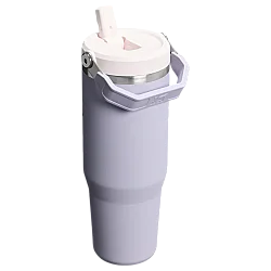 Stanley The IceFlow Flip Straw Tumbler Pipetli Termos Bardak 0,89 Lt Purple Dust - 2
