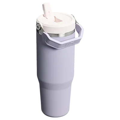 Stanley The IceFlow Flip Straw Tumbler Pipetli Termos Bardak 0,89 Lt Purple Dust - 2