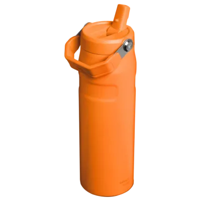 Stanley The IceFlow Flip Straw Pipetli Termos Bardak 0.70lt Goldenrod Coral - 2