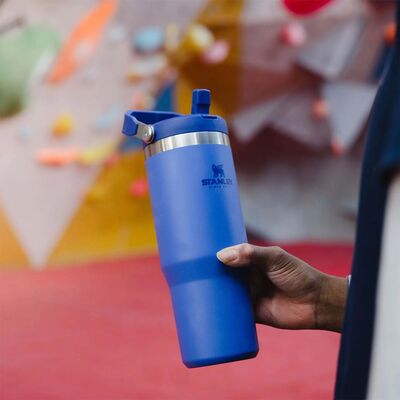 Stanley Flip Straw Tumbler Pipetli Termos Bardak 0,89 LT Iris - 4