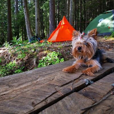 Trimm Pack-DSL 1 Kişilik 4 Mevsim Ultralight Çadır - 8
