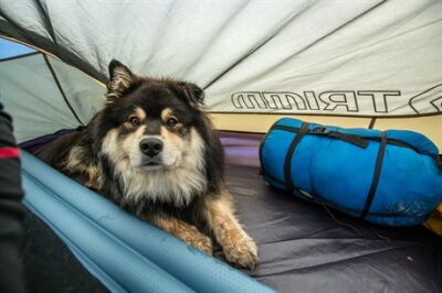 Trimm Spark 2 Kişilik 4 Mevsim Ultralight Çadır - 10
