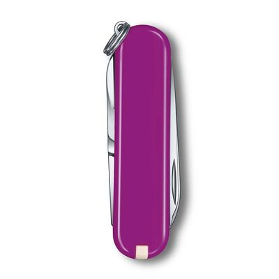 Victorinox Caki Classic Tasty Grape Mor 0.6223.52G - 3